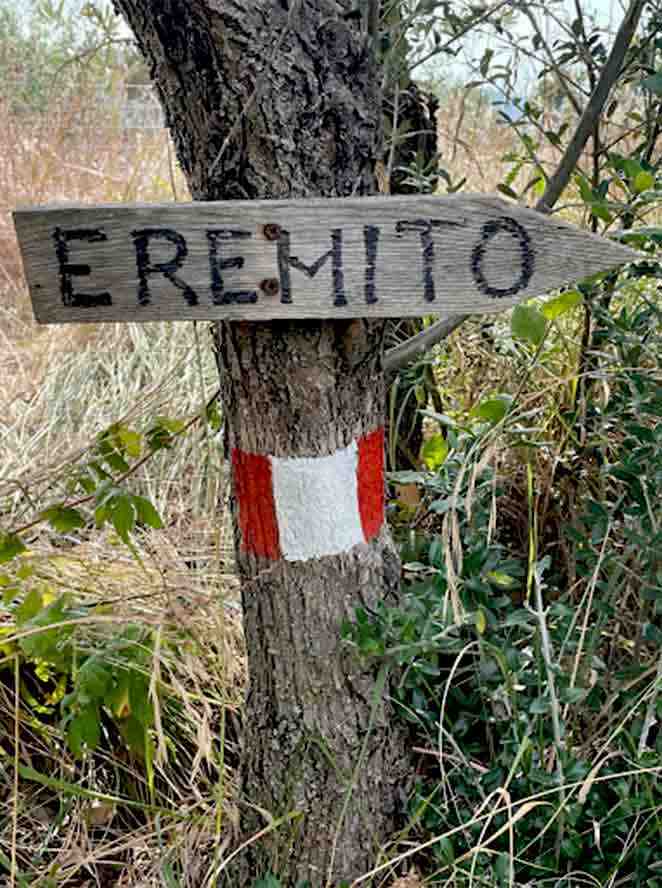 a sign on a tree